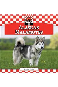 Alaskan Malamutes