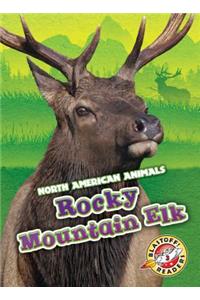 Rocky Mountain Elk