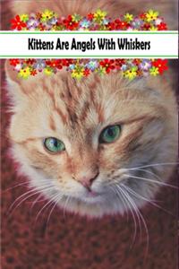 Kittens Are Angels With Whiskers