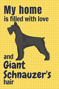 My home is filled with love and Giant Schnauzer's hair