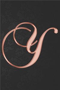Y Journal