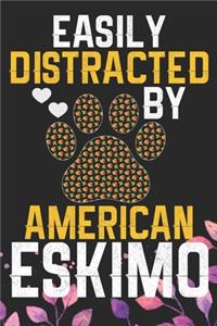 Easily Distracted by American Eskimo
