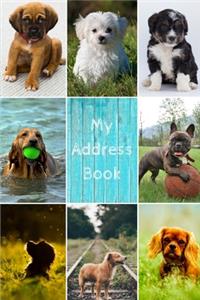 My Address Book