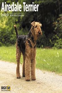 AIREDALE TERRIER WALL CALENDAR 2020