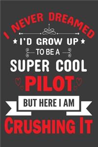 I Never Dreamed to be a Super Cool Pilot