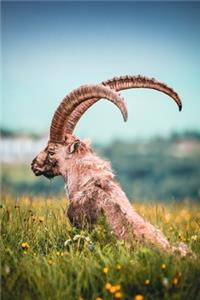 Tyrol notebook - achieve your goals, perfect 120 lined pages #2