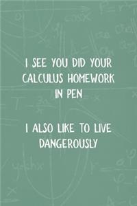 I See You did Your Calculus Homework In Pen I Also Like To Live Dangerously