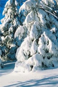 2020 Weekly Planner Winter Theme Snow Covered Evergreens 134 Pages