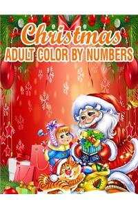 Christmas Adult Color By Numbers