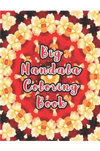 Big Mandala Coloring Book