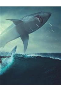 Shark Surfer Surfing Sharks Danger Dangerous Surf Fish Ocean Marine Predator