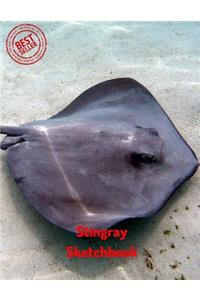 Stingray Sketchbook