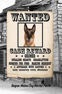 Belgian Malinoi Dog Wanted Poster