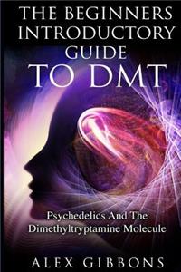 Beginners Introductory Guide To DMT - Psychedelics And The Dimethyltryptamine Molecule