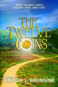 Twelve Coins