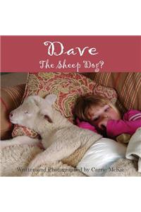 Dave the Sheep Dog?