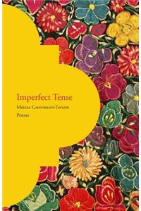 Imperfect Tense