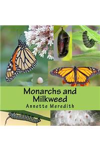 Monarchs and Milkweed