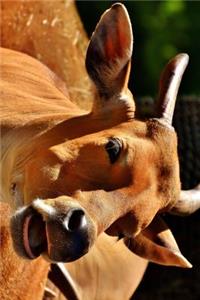 Banteng Wild Cow Journal