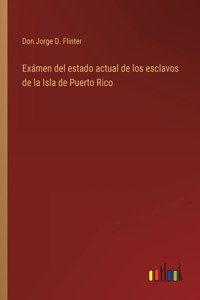 Examen del estado actual de los esclavos de la Isla de Puerto Rico