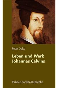 Leben Und Werk Johannes Calvins