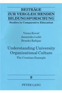 Understanding University Organizational Culture