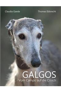 Galgos