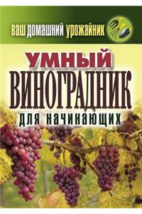 Your home urozhaynik. Smart vineyard for beginners