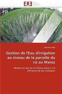 Gestion de l''eau d''irrigation au niveau de la parcelle du riz au maroc