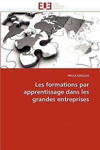 Les Formations Par Apprentissage Dans Les Grandes Entreprises