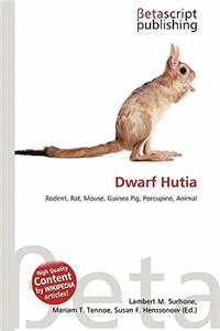 Dwarf Hutia
