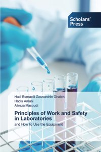 Principles of Work and Safety in Laboratories