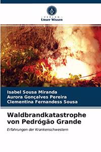 Waldbrandkatastrophe von Pedrógão Grande