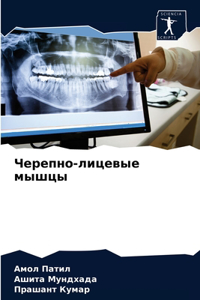 Черепно-лицевые мышцы