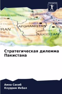 Стратегическая дилемма Пакистана