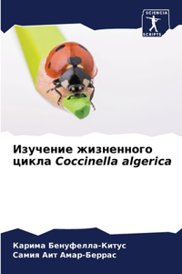 &#1048;&#1079;&#1091;&#1095;&#1077;&#1085;&#1080;&#1077; &#1078;&#1080;&#1079;&#1085;&#1077;&#1085;&#1085;&#1086;&#1075;&#1086; &#1094;&#1080;&#1082;&#1083;&#1072; Coccinella algerica