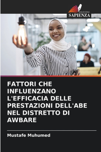 Fattori Che Influenzano l'Efficacia Delle Prestazioni Dell'abe Nel Distretto Di Awbare