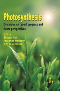 Photosynthesis: Overviews on Recent Progress and Future Perspectives