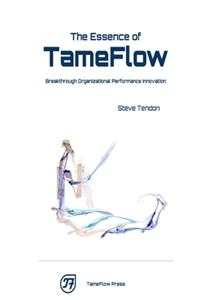 The Essence of TameFlow
