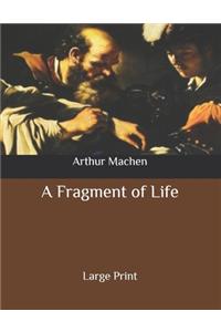 A Fragment of Life