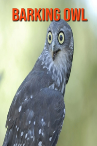 Barking Owl