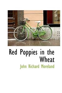 Red Poppies in the Wheat