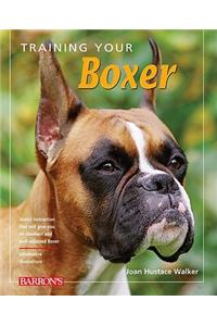 Training Your Boxer