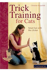 Trick Training for Cats