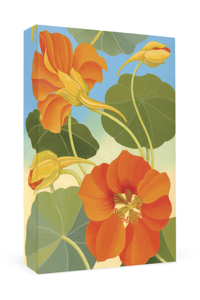 Siri Schillios: Nasturtium Thank You Notes