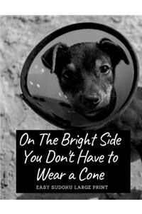On The Bright Side You Don't Have To Wear A Cone