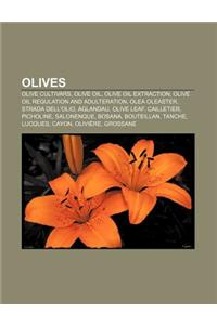 Olives: Olive Cultivars, Olive Oil, Olive Oil Extraction, Olive Oil Regulation and Adulteration, Olea Oleaster, Strada Dell'ol