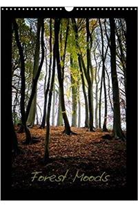 Forest Moods 2017