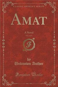 Amat, Vol. 2 of 3: A Novel (Classic Reprint)