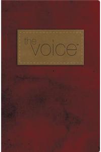 Voice Bible-VC